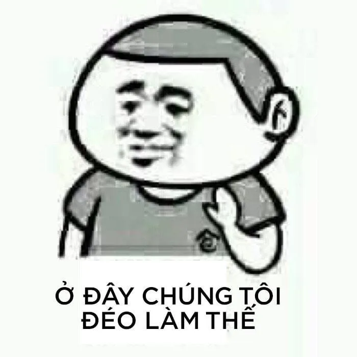 Gấu trúc meme hài luôn mang đến những khoảnh khắc cực kỳ vui nhộn!