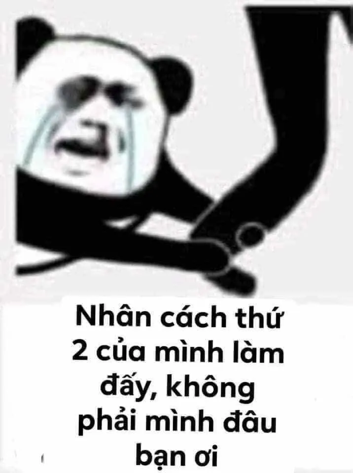 Meme khóc thét siêu bựa, nhìn là muốn cười không dừng được!