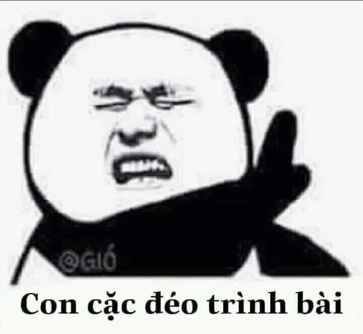 Gấu meme hài mang đến những giây phút vui nhộn và đáng yêu!