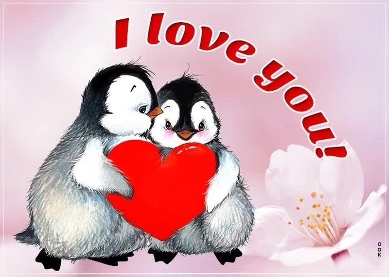 Chia sẻ tình yêu qua i love you too meme ngọt ngào.