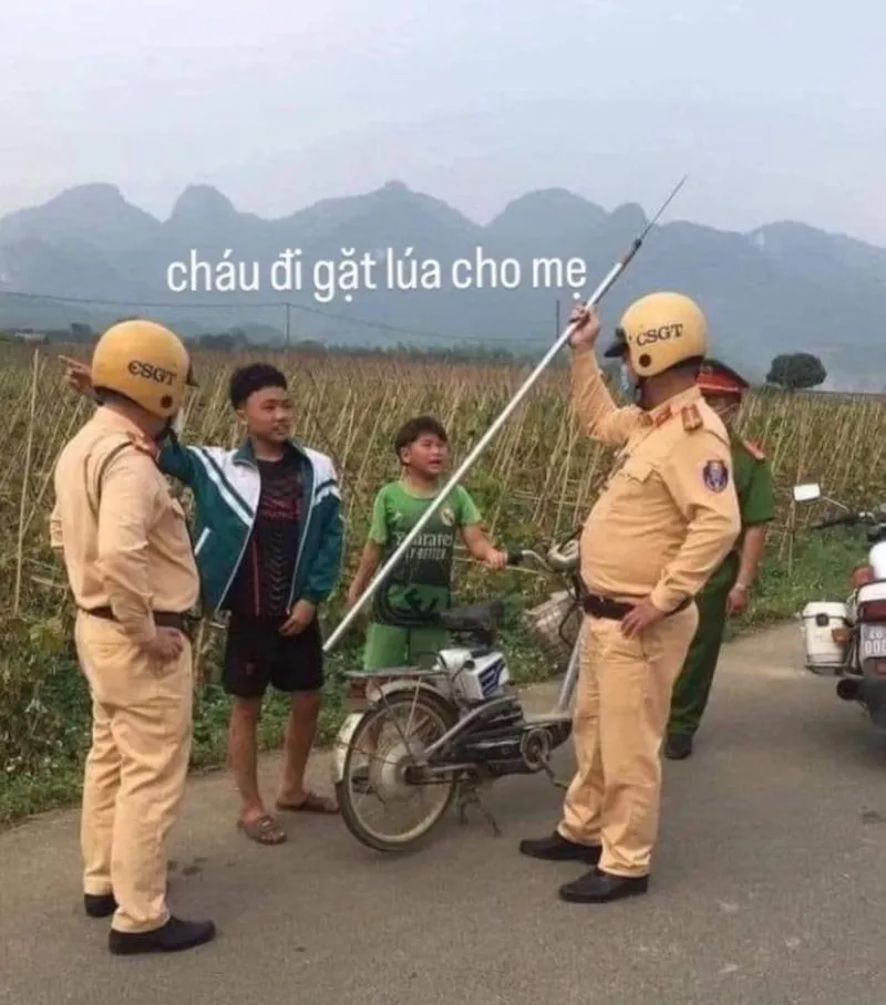 Ảnh chế meme bựa, lựa chọn hài hước cho những bình luận độc lạ.