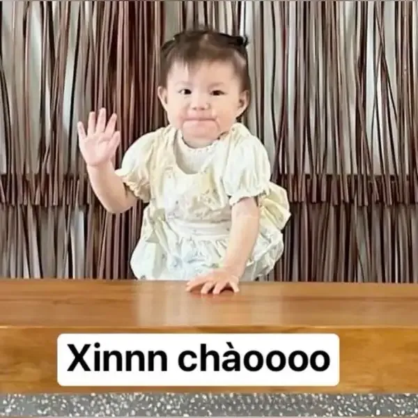 Meme mèo chào ngày mới với biểu cảm vui tươi, khiến mọi người cười thả ga.