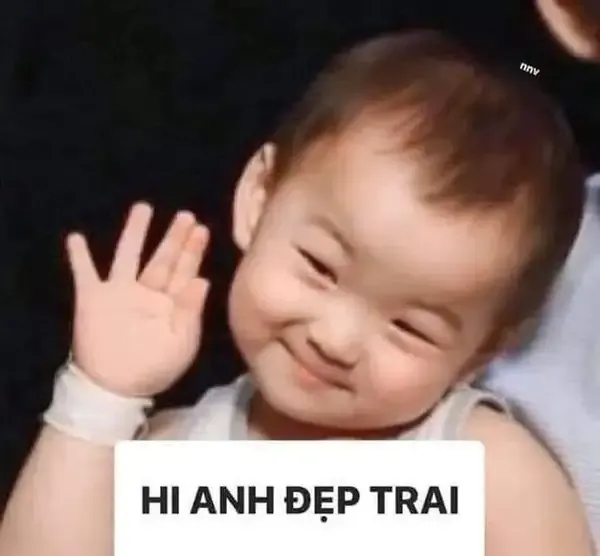 Mèo chào meme đáng yêu giúp bạn tạo ấn tượng ngay từ cái nhìn đầu tiên.