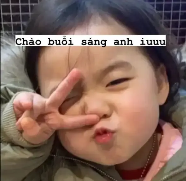 Meme mèo chào tạm biệt cực kỳ dễ thương, tạo ra một bầu không khí ấm áp.