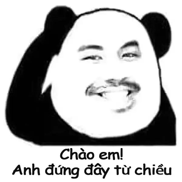 Meme gấu trúc xin chào dễ thương, làm sáng bừng không khí chào buổi sáng.