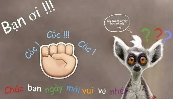 Chào em nha meme ngọt ngào, giúp bạn gửi lời chào ấm áp vào cuối ngày.