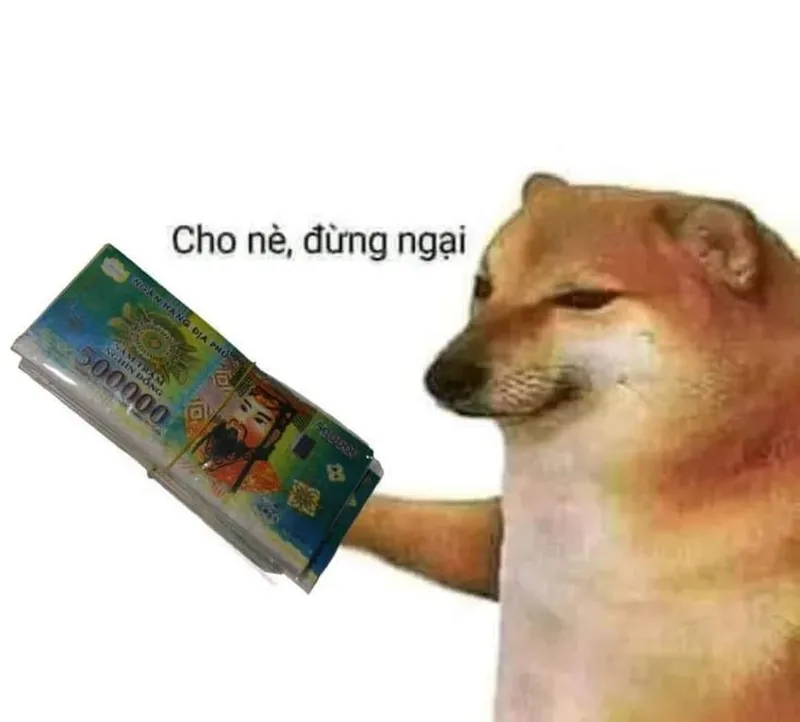 Meme nhiều tiền, thật là hấp dẫn!