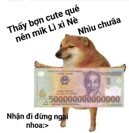 Meme mèo xin tiền thật là đáng yêu!