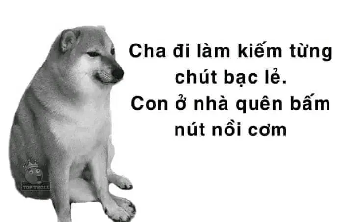 Cheems meme cực cute, luôn tạo ra những khoảnh khắc đáng yêu