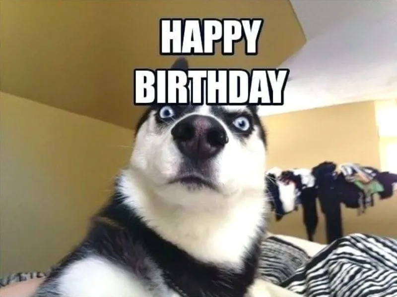 Happy Birthday Gif Meme sống động và sáng tạo, tạo nên điểm nhấn đặc biệt cho ngày sinh nhật!