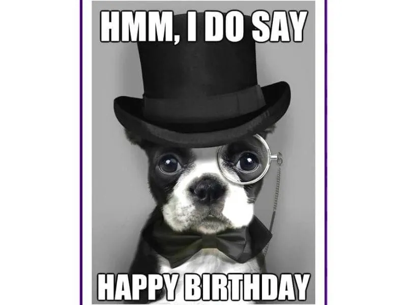 Happy Birthday Funny Meme sẽ khiến bạn cười nghiêng ngả với những hình ảnh độc đáo!