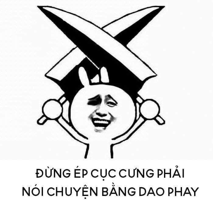 Mèo tức meme dễ thương, xem là mê ngay.