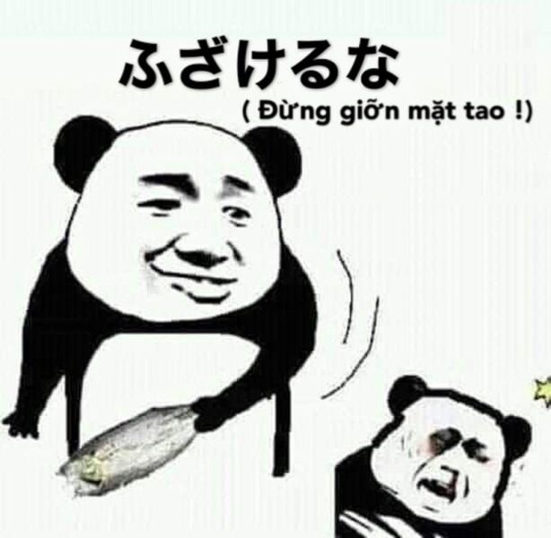 Meme con mèo giận dỗi cực kỳ dễ thương, ai nhìn cũng phải cười.