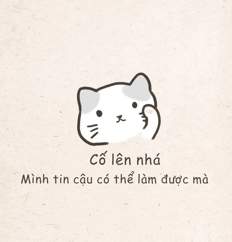 Cốt meme sea độc đáo, giúp bạn thể hiện phong cách riêng qua hình ảnh.