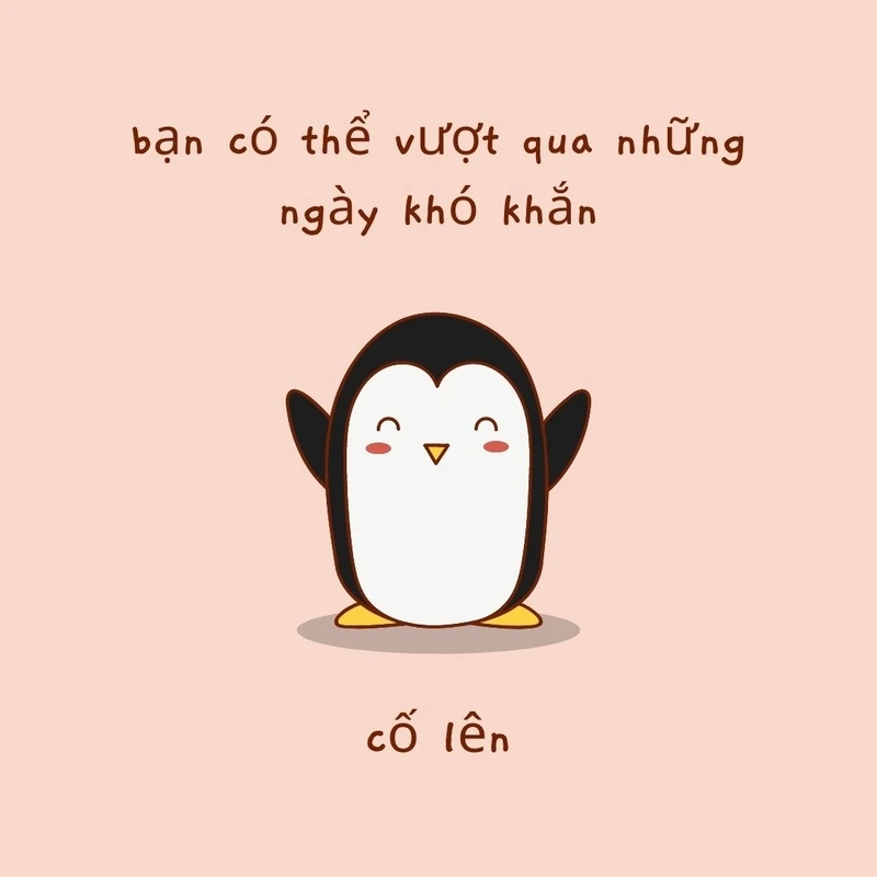 Meme anh ơi cố lên tạo động lực lớn cho bạn.