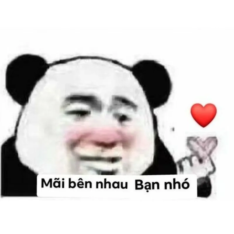 Meme em bé cute hài hước tạo tiếng cười cho mọi người.