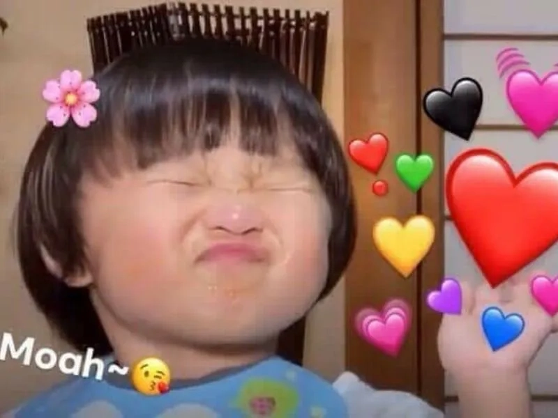 Meme chúc ngủ ngon cute tạo cảm giác ấm áp trước giờ ngủ.