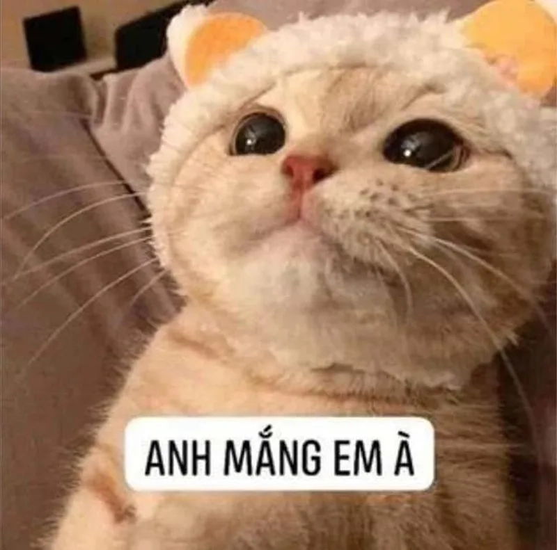 Meme cảm ơn cute là cách thú vị để thể hiện sự tri ân.