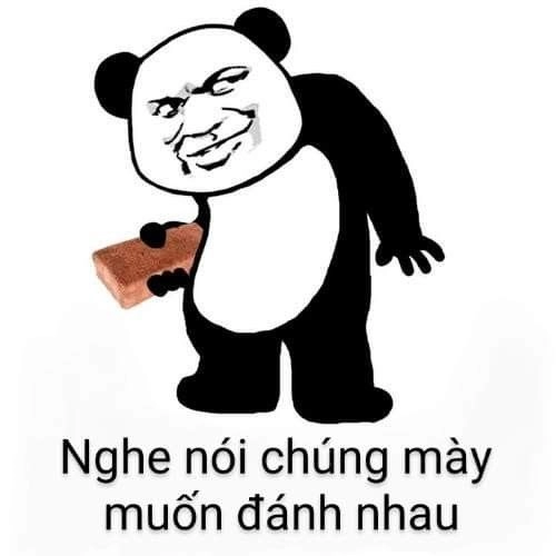 Meme đánh nhau cute khiến bạn không thể nhịn cười, dễ thương vô cùng!