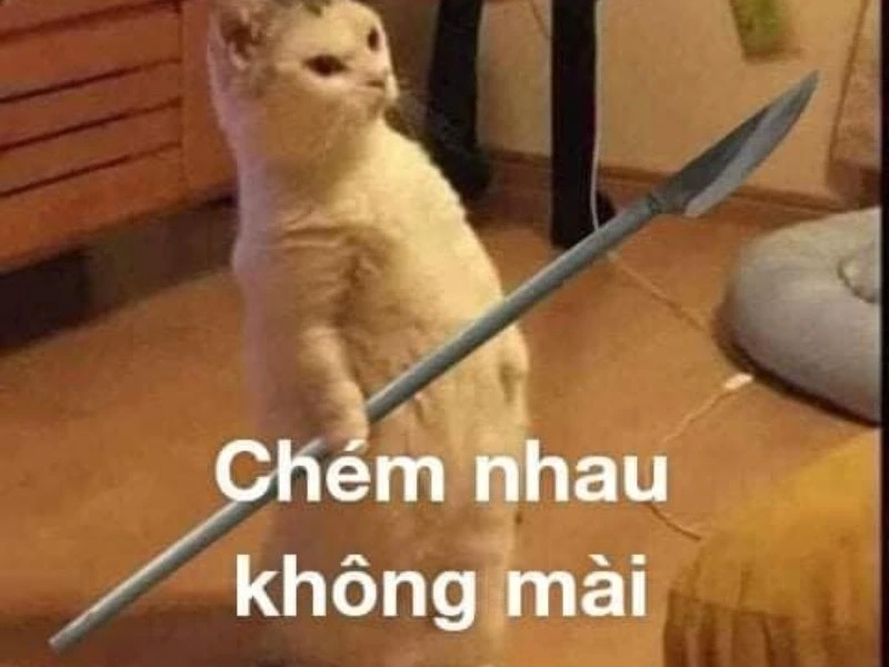 Meme đánh đi cực kỳ hài hước, không thể thiếu trong bộ sưu tập của bạn!