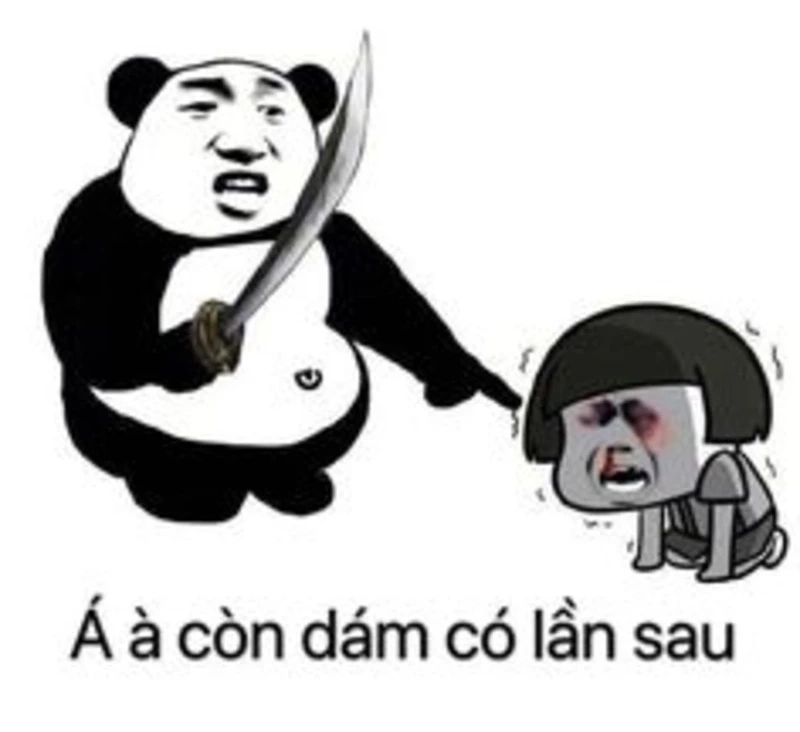 Meme mèo đánh giá cực kỳ dễ thương, bạn sẽ bật cười ngay!