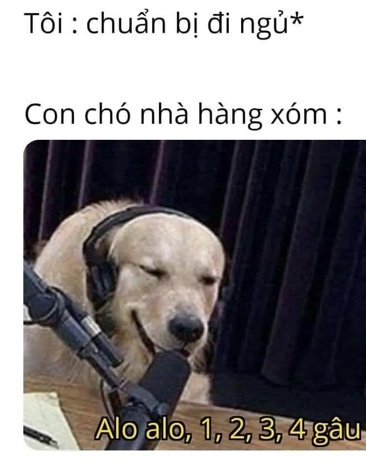 Meme ngủ đi nhắc bạn đừng thức khuya hại sức khỏe