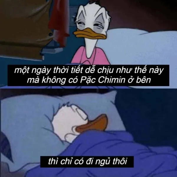 Chúc bé ngủ ngon meme giúp bé thư giãn thật nhanh