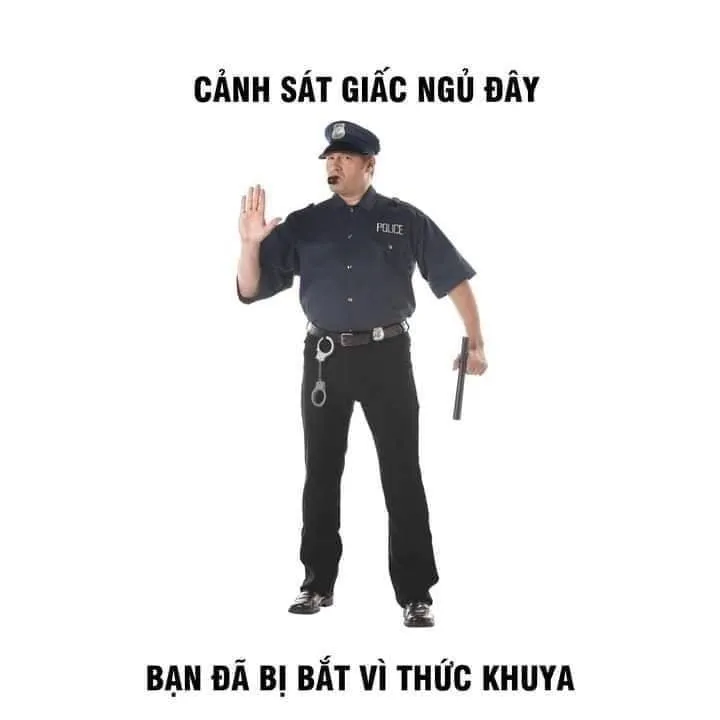 Meme chúc ngủ ngon hài để kết thúc ngày thật vui