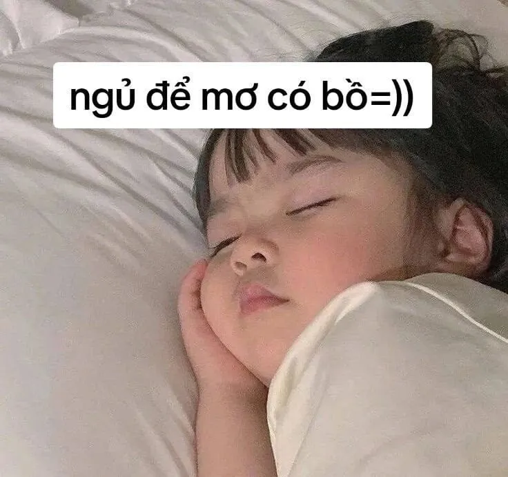 Ảnh meme ngủ với các tư thế độc đáo siêu vui