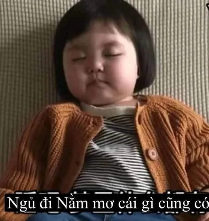 Meme chúc ngủ ngon dễ thương làm bạn tan chảy