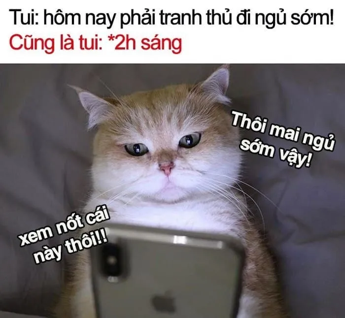 Meme tắt máy đi ngủ là lời nhắn cực kỳ đáng yêu