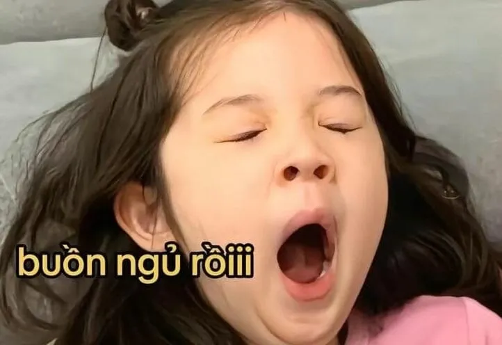 Ảnh chúc ngủ ngon meme truyền tải sự dễ thương