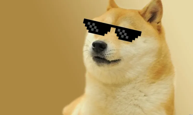 Doge meme nổi tiếng với hình ảnh chú chó dễ thương.