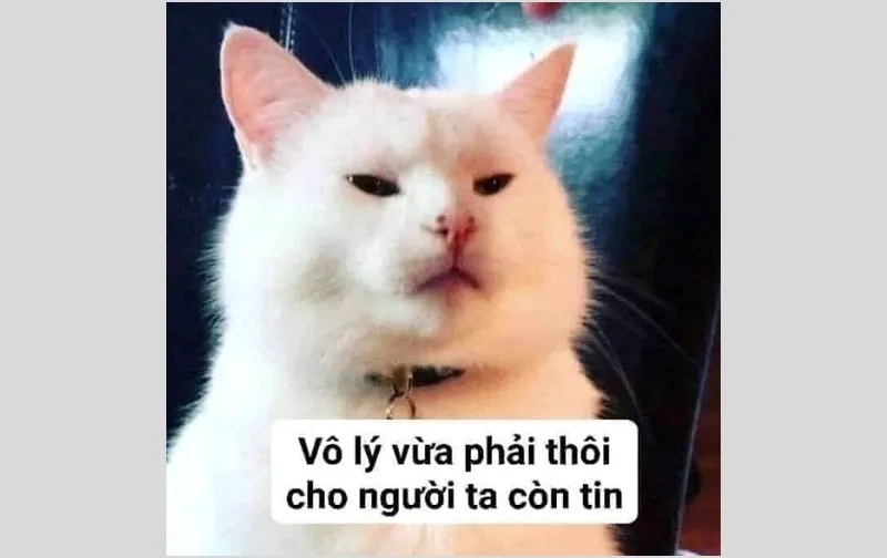 Giận tím người meme cực hài hước, không thể bỏ qua.