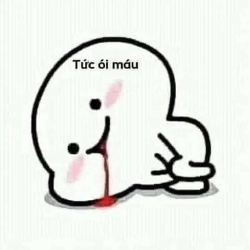 Meme gấu trúc tức giận dễ thương, khiến bạn cười không ngớt.