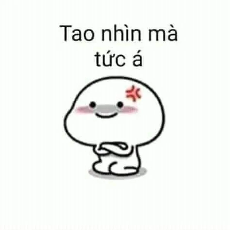 Meme con mèo tức giận hài hước, xem ngay để giải trí.