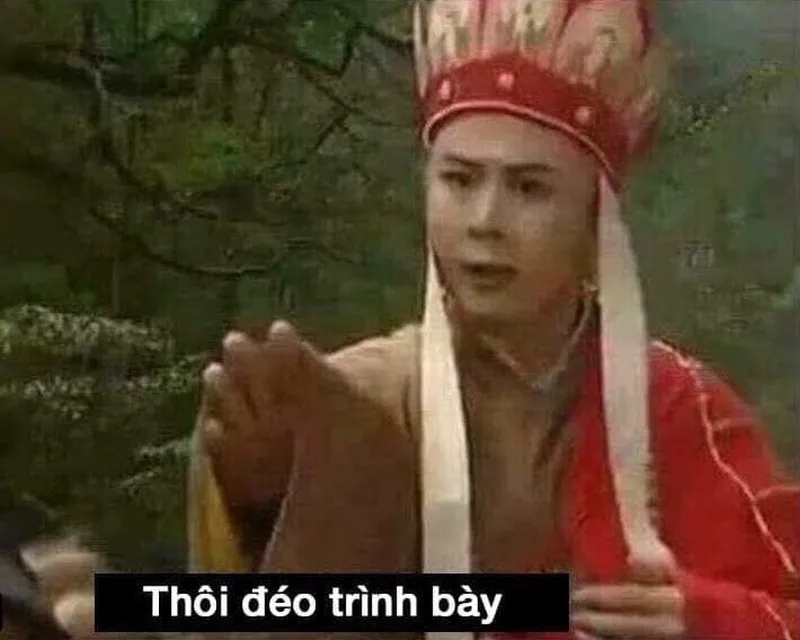 Ảnh meme không làm bạn phải ngừng cười.