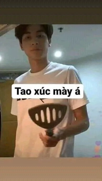 Meme mèo hài với những biểu cảm siêu đáng yêu, giúp bạn thư giãn tức thì.