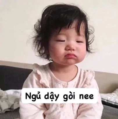 Ảnh meme hài mèo cực kỳ ngộ nghĩnh, là lựa chọn tuyệt vời cho người yêu mèo.