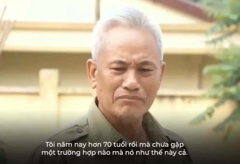 Meme mèo hết cứu là hình ảnh đáng yêu kèm phong cách hài độc đáo