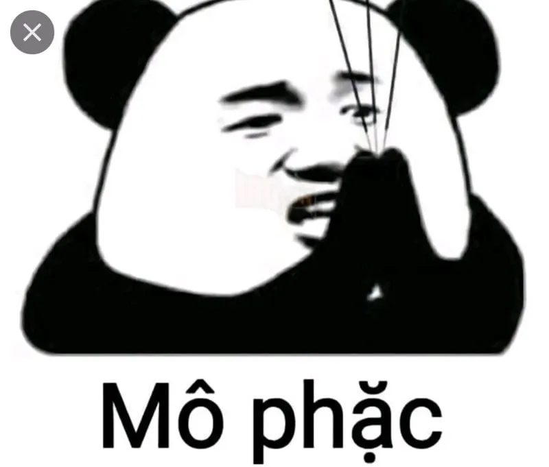 Meme xe cấp cứu hài hước và sáng tạo trong cách diễn đạt tình huống khẩn cấp