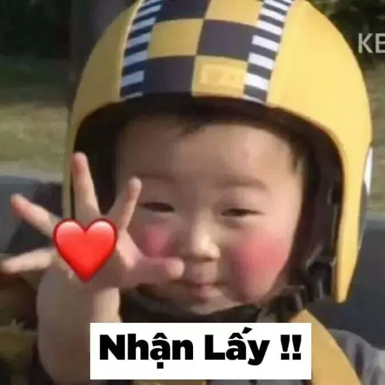 Meme mèo hôn nhau đáng yêu, tạo sự thích thú ngay từ ánh nhìn đầu tiên