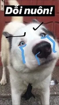 Jerry crying meme tạo nên sự dễ thương không thể bỏ qua.