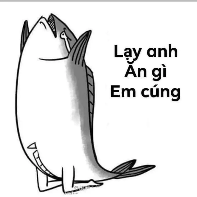 Ảnh meme quỳ lạy gây ấn tượng mạnh với sự chân thành và đáng yêu.