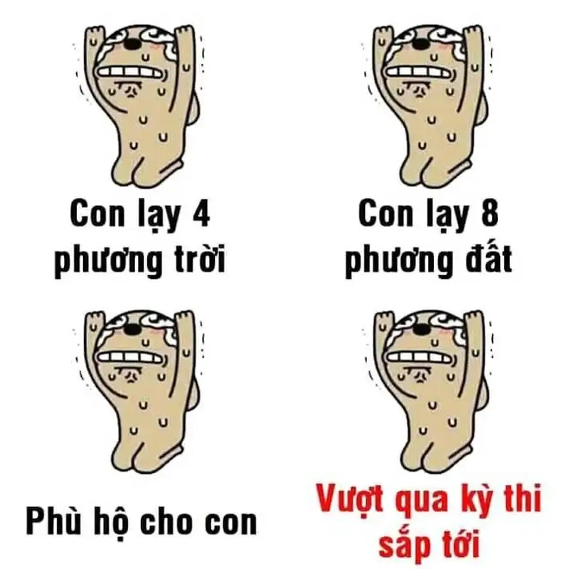 Meme quỳ tạo nên những tình huống hài hước dễ gây chú ý.