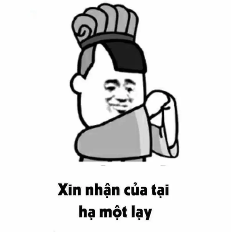 Meme quỳ xuống với hành động dễ thương, làm người xem bật cười.