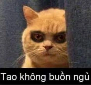 Hình mèo meme ngộ nghĩnh, xem là ghiền ngay.