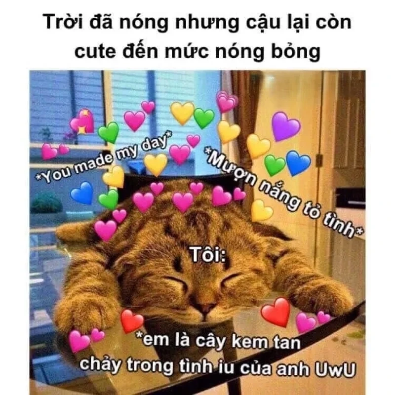 Crush meme tỏ tình hài hước, mang lại niềm vui và tiếng cười.