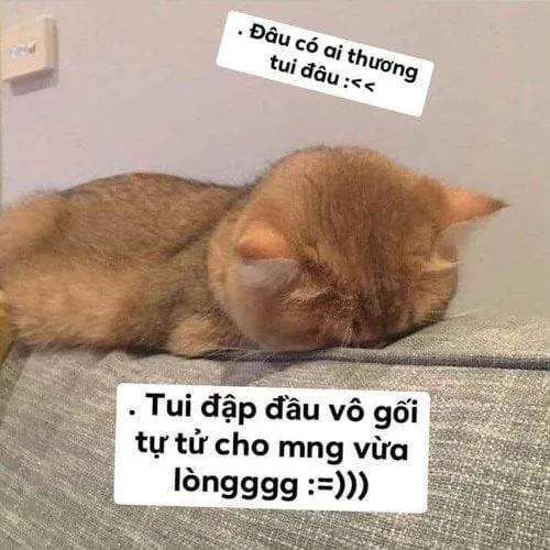 Lưu ngay ảnh meme dỗi người yêu để tạo thêm tiếng cười