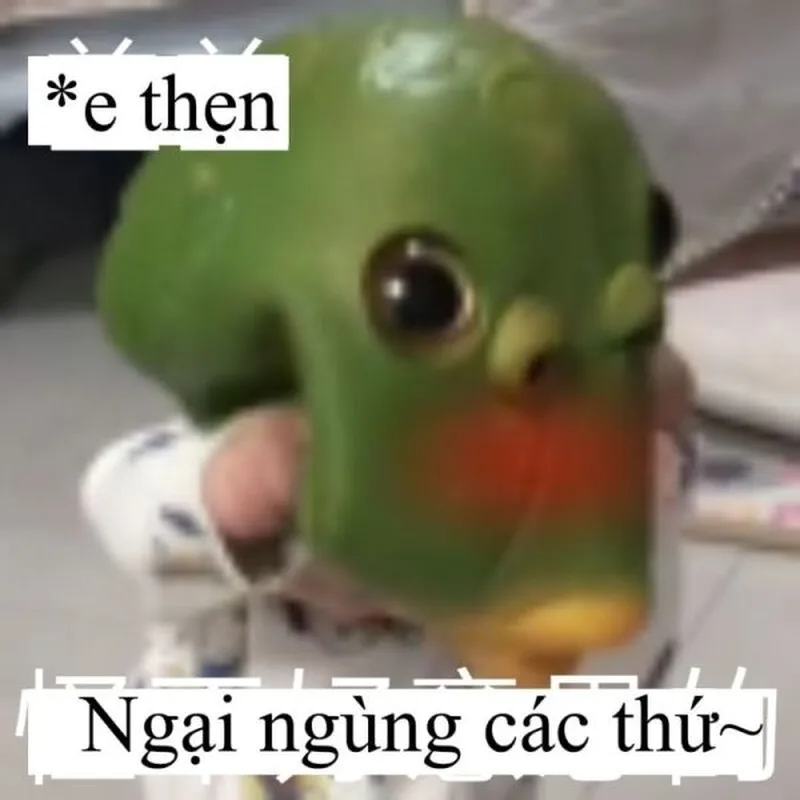 Meme đáng lo ngại này mang đến một cách nhìn thú vị về cảm giác ngại.